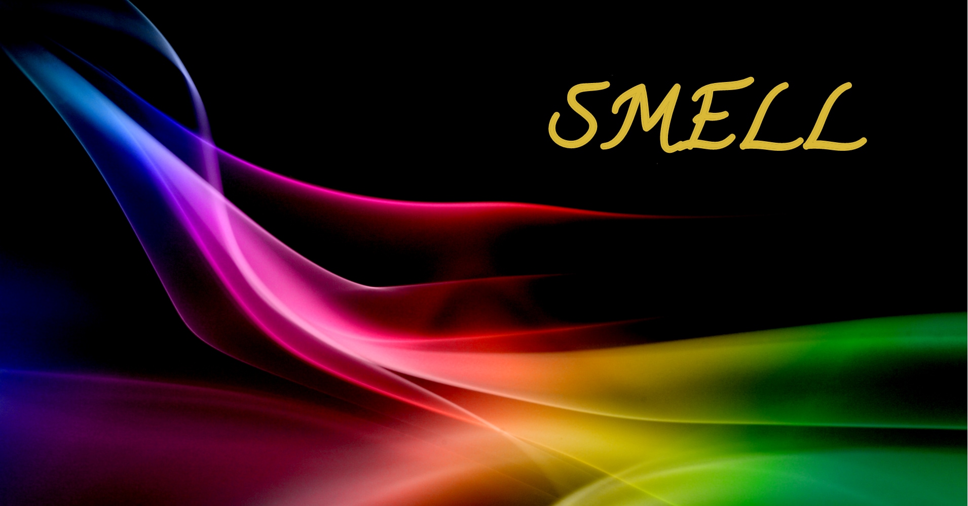 What's Your Scent Personality?